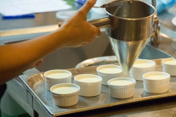 cream of europe campaign