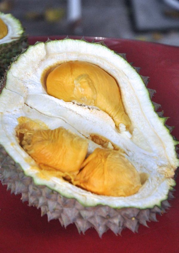 durian king bukit bintang kuala lumpur black thorn flesh