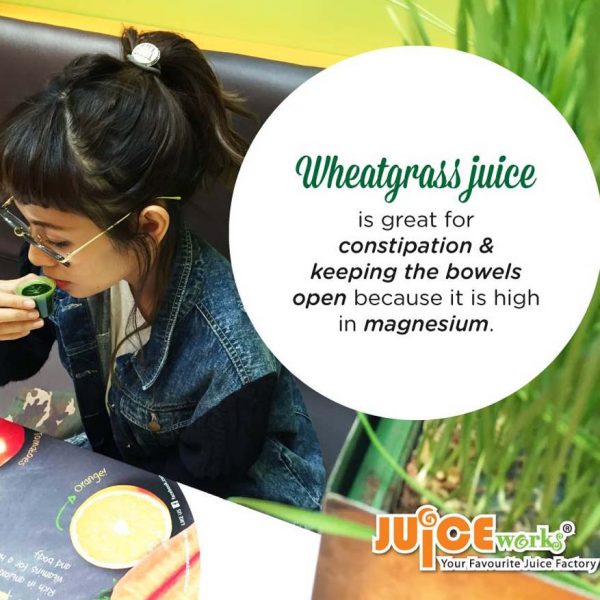 juice works healthy wheatgrass drink