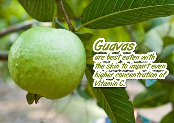 juice works malaysia prosperity juice chinese new year 2017 guava