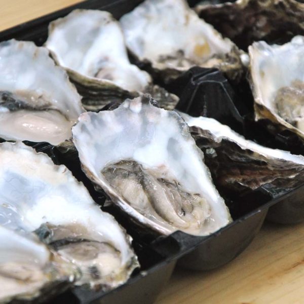 guinness st. patrick's weekend the square publika mall kuala lumpur oyster