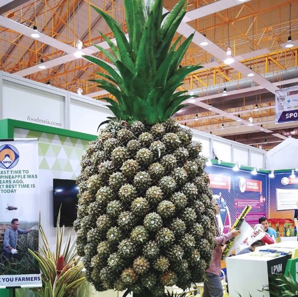 hppnk 2017 maeps serdang hppnk25 pineapple