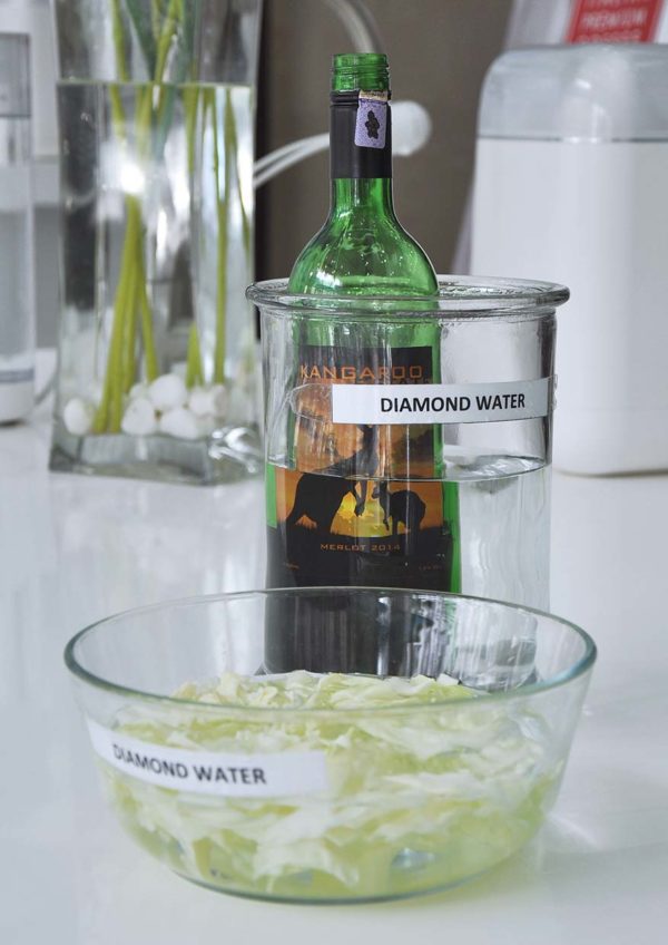 diamond coral alkaline water preserve veggie freshness