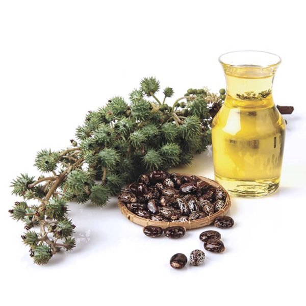 globalstory lab11 hair product full lift series castor oil
