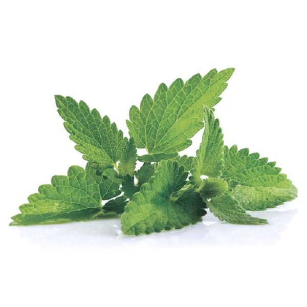 globalstory lab11 hair product full lift series peppermint essential oil