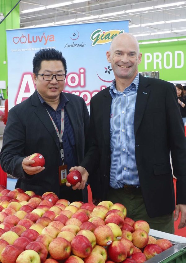 ambrosia apples new zealand heartland group 