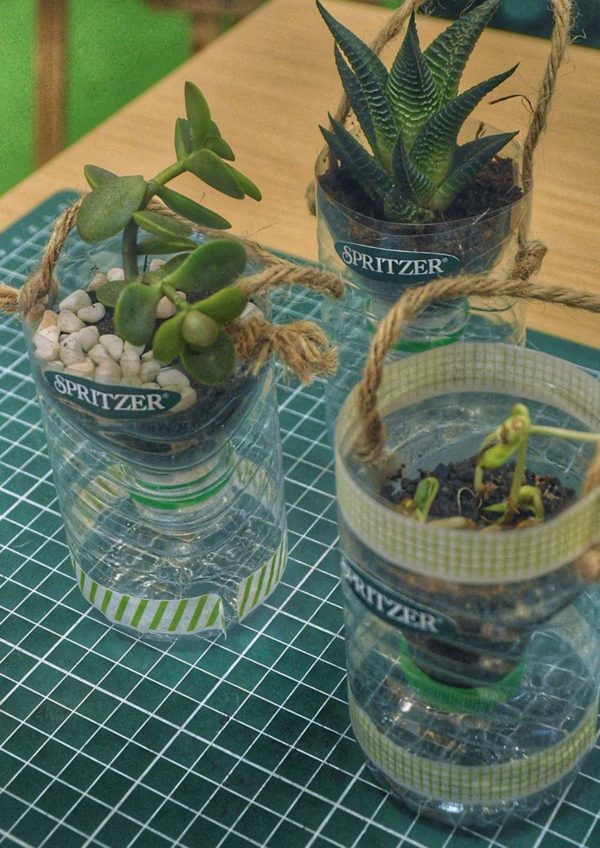 spritzer 30 years of natural goodness potting plant