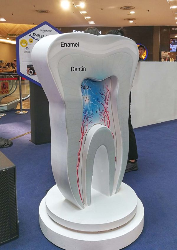 sensodyne sensitivity and gum tooth structure