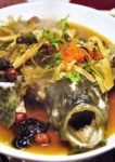 royal gourmet premiere hotel klang chinese cuisine steamed sea grouper