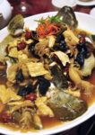 royal gourmet premiere hotel klang chinese cuisine steamed sea grouper