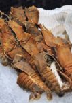 marine harvest international carvery chatz brasserie parkroyal kuala lumpur