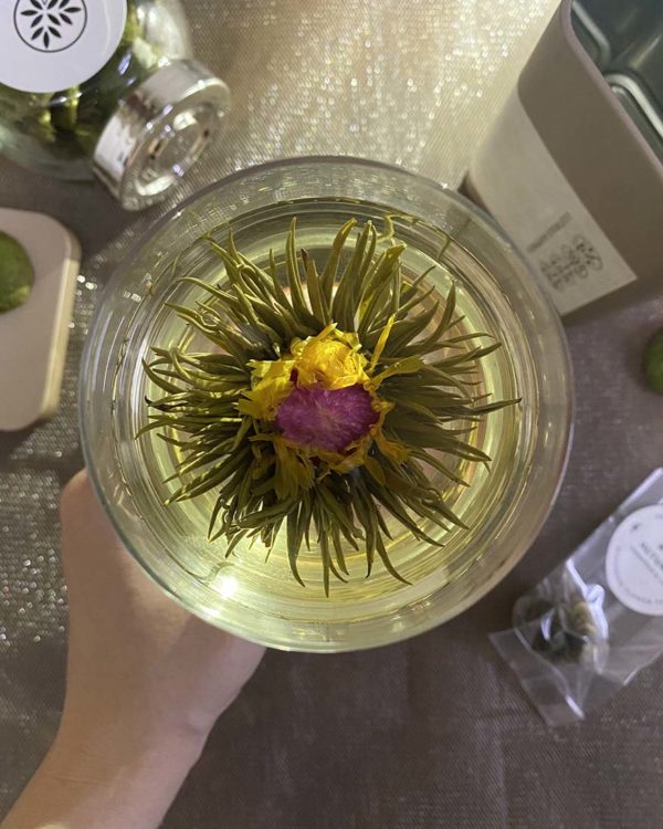 purple cane 34th anniversary member day sale teapluz blooming flower tea