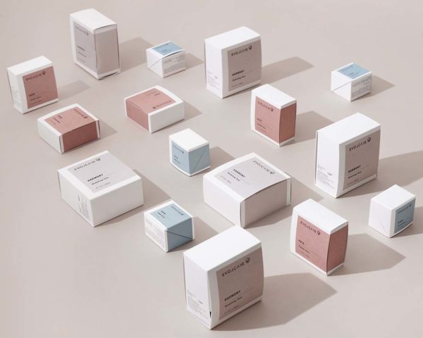 evolcare biotics series skin care products pastel packaging