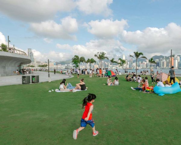 discover hong kong west kowloon cultural district art park