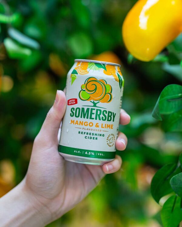 somersby mango lime cider a taste of the tropics limited edition can 
