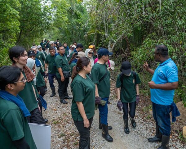 hektar reit mangrove conservation malaysian nature society kuala selangor nature park briefing