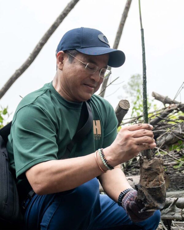 hektar reit mangrove conservation malaysian nature society kuala selangor nature park ceo zainal iskandar