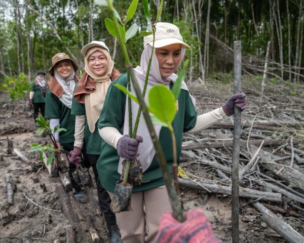 hektar reit mangrove conservation malaysian nature society kuala selangor nature park