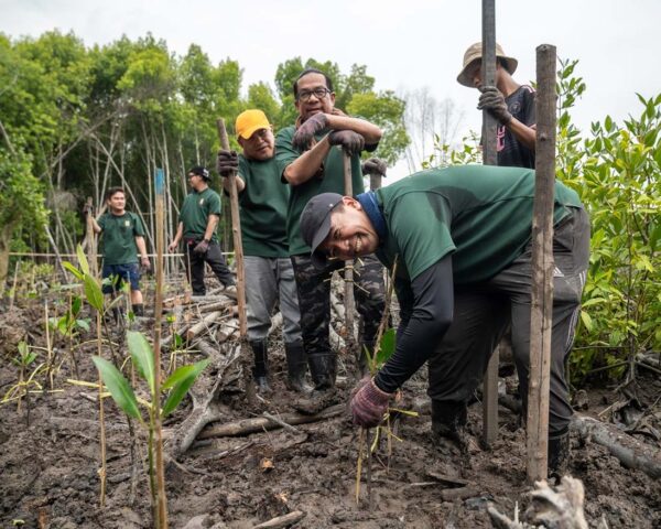 hektar reit mangrove conservation malaysian nature society kuala selangor nature park tree planting